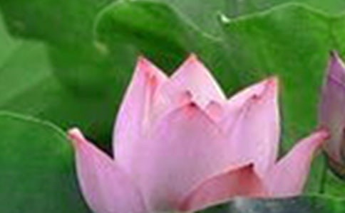 ���ºɻ���ɢ���S�P