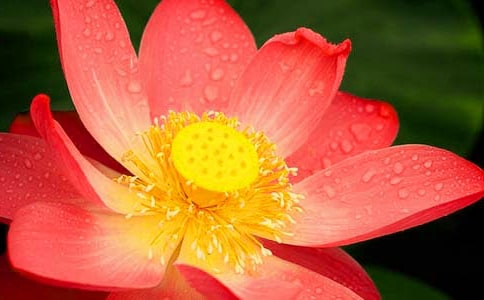 �ɻ��^����ӛ