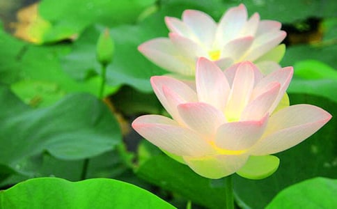 �Ґۺɻ�����