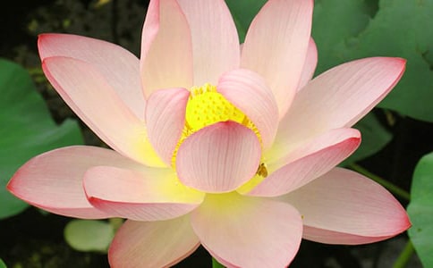 �ɻ��^����ӛ�����x23ƪ��