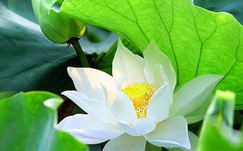 �^��ɻ���ӛ