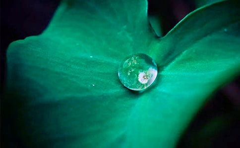 ̽�����~������