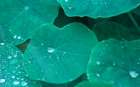 �P�ں��~����