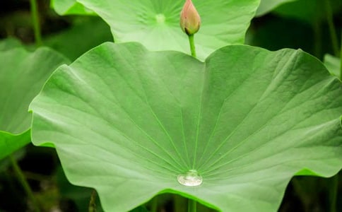 �P(gu��n)�ں��~������(��(y��u)�x3ƪ)