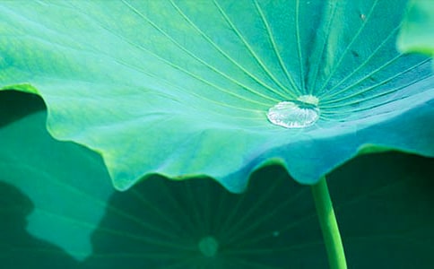 ���~�Ƶ�ĸ�����ģ�ͨ��10ƪ��