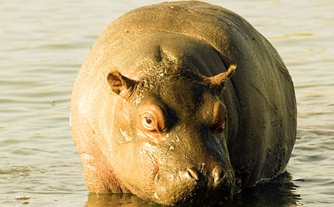 �P(gu��n)�ڴ���Rˮ�Ϙ��@�����ģ�ͨ��12ƪ��