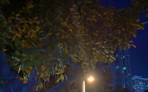 ��ҹ������ӛͨ��4ƪ