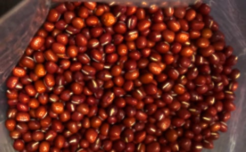 �^��t����ӛ�����x24ƪ��