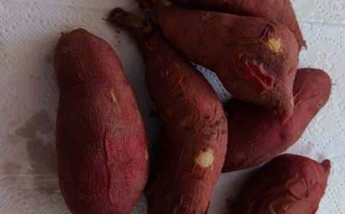 紅薯的時代散文