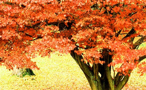 �t�~����