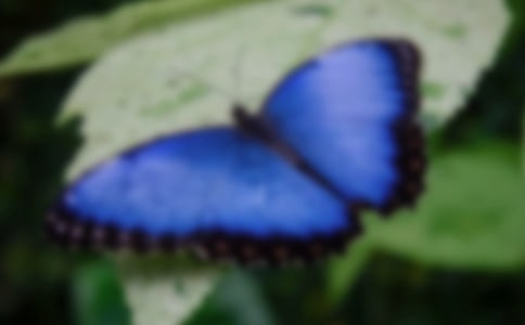 ����ͯԒ������