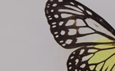 �����߳�ʲô�õÿ�