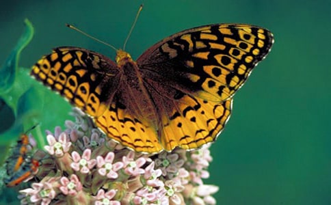 ���h�ĺ����x��з��ģ�ͨ��5ƪ��