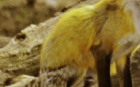 �x���˲���ĺ�؂�ְ֡��и�����