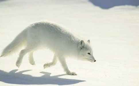 �����x����؂ͯԒ(hu��)���ąR����ƪ