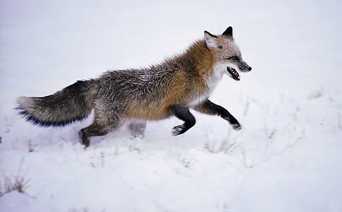 С��؂��С�ܵ�һ�Κv�UͯԒ����