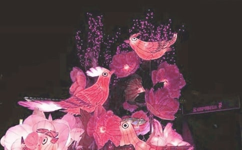 看花燈200字作文