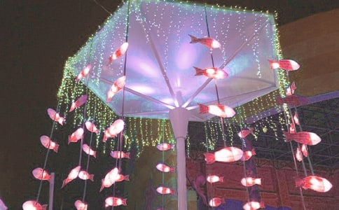 【熱門】看花燈日記四篇