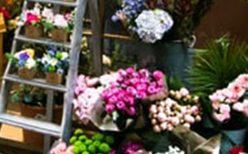 ����Ą�(chu��ng)�I(y��)Ӌ(j��)����