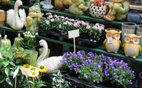 ��ͤ�ͻ���Đ�������750�ֳ�һ