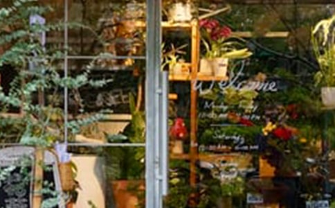 網(wǎng)上鮮花店創(chuàng)業(yè)計(jì)劃書(shū)