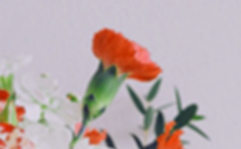 �����]����Ц����ȼ����޶�-Փ�����ƣ������l(xi��ng)��ͻ��䡷