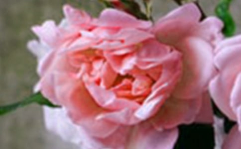 �G�~�]�L�����_�������ꇓ�ǁ�����ɫ�����������ֻ�S�㲻�S