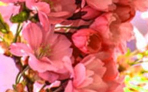 ������g(sh��)��΢Ц�Ļ���_���̰�