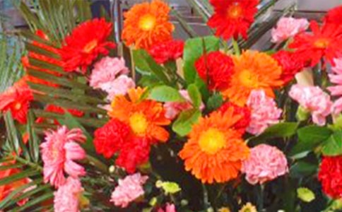 大班體育活動(dòng)教案《編花籃》