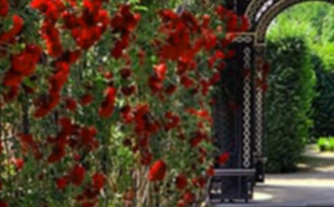 ���µ�С���@���ģ����x26ƪ��