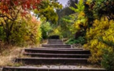 �����Ļ��@��������