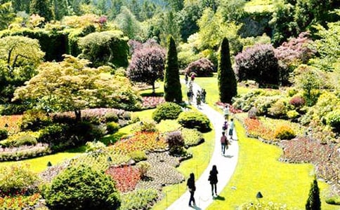 ���@��ӛ����