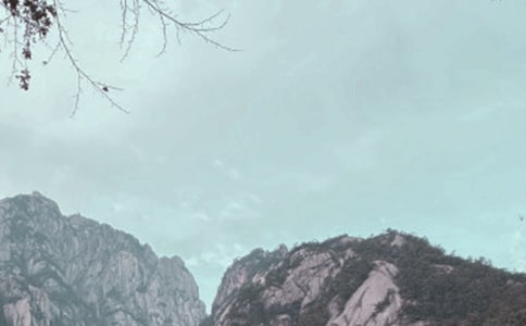 黃山游記作文【共6篇】