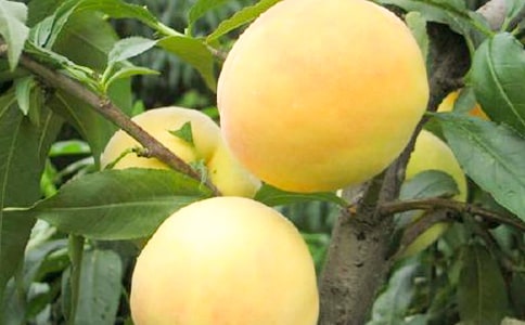 ���l(xi��ng)���S������