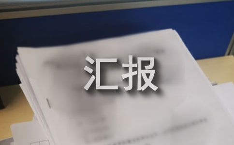 企業(yè)頂崗匯報