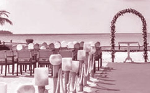 �����ѻ�Y�ϵ��C���~