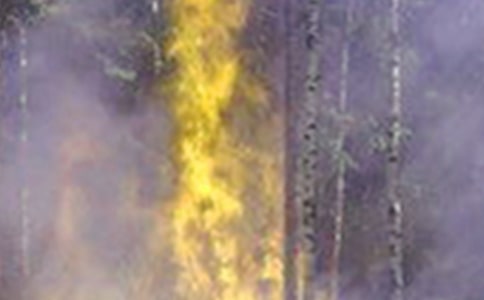 ���(z��i)�ݾ��ĵ��w��(hu��)9ƪ