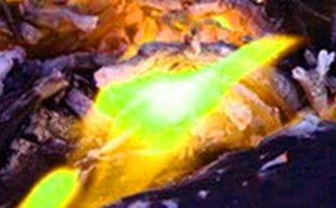 火災(zāi)愛心募捐倡議書范文