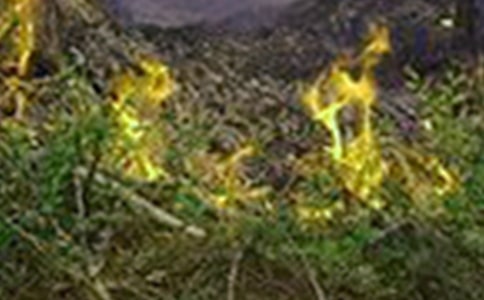 ���(z��i)�������ߵļ��ȴ�ʩ