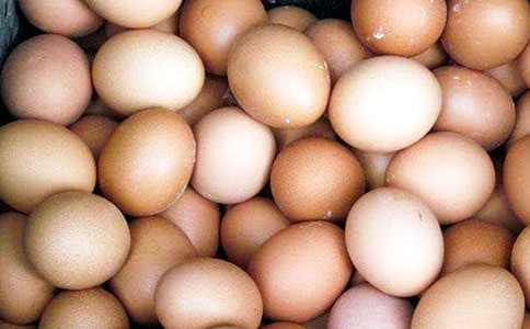 �����u���^����ӛ