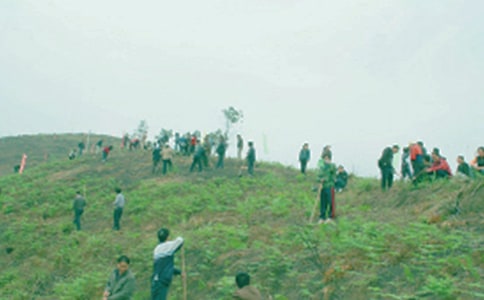 上山祭祖敘事作文