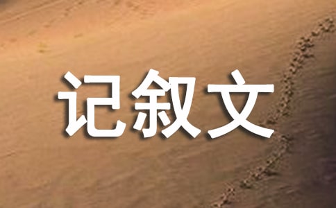 我有我的精彩記敘文800字