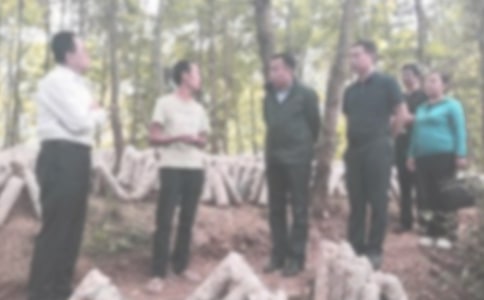 �o�z���L�������Y