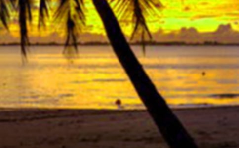 假期海邊游記作文