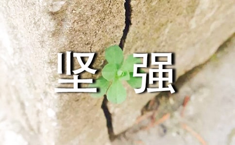 ��(ji��n)��(qi��ng)��������ľ���