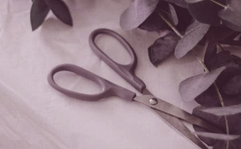 �����{��(d��o)���~�ķ���