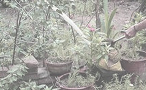 ��������150��