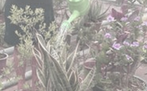 ����������ӛ