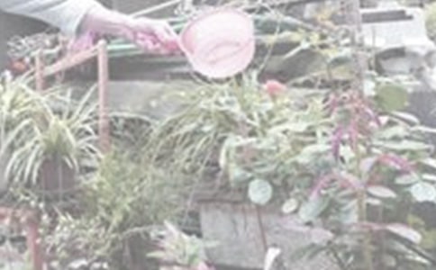 ��������50��