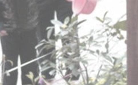 �P(gu��n)�ڝ��������ģ���6ƪ��